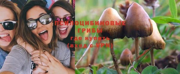 спайс Абаза