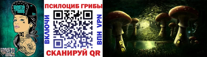 купить наркоту  Белый  Галлюциногенные грибы прущие грибы 
