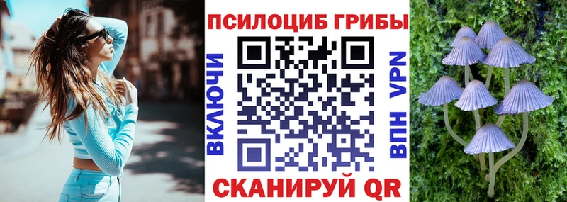Псилоцибиновые грибы мицелий Белый
